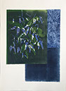 IB-le temps des jardins vert 105x76