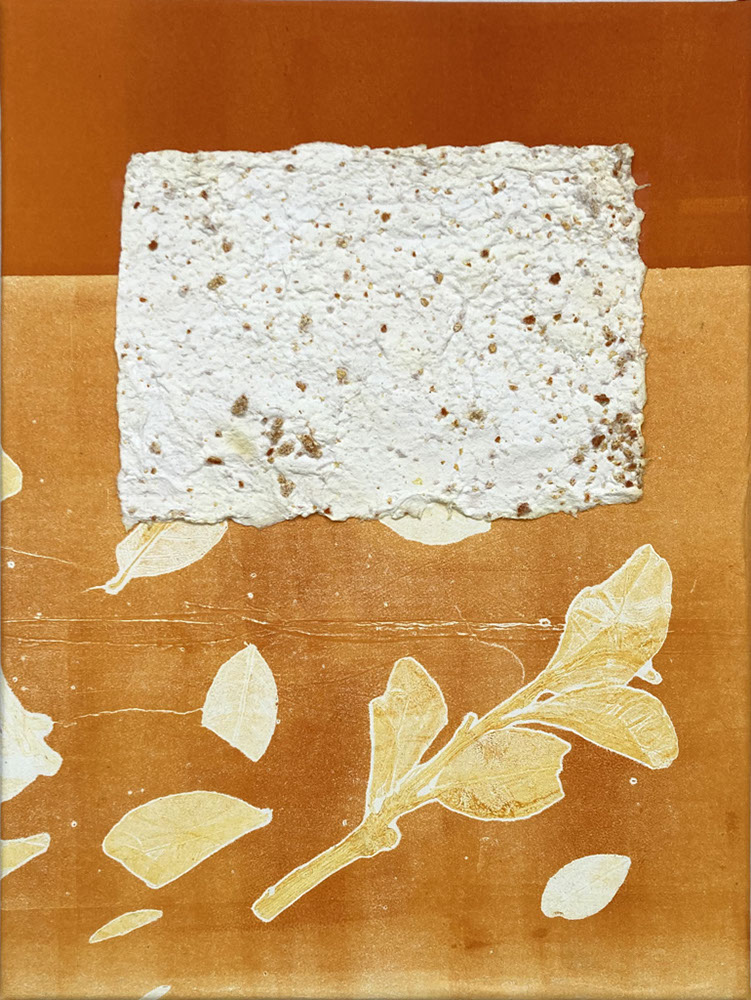 I-Beraut 40x30cm jardin clémentine